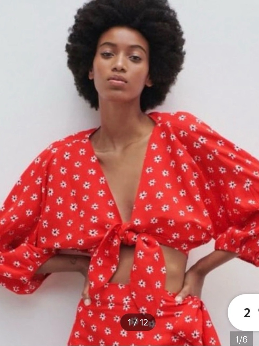 Zara Red Floral Tie-Front Crop Top with Puff Sleeves